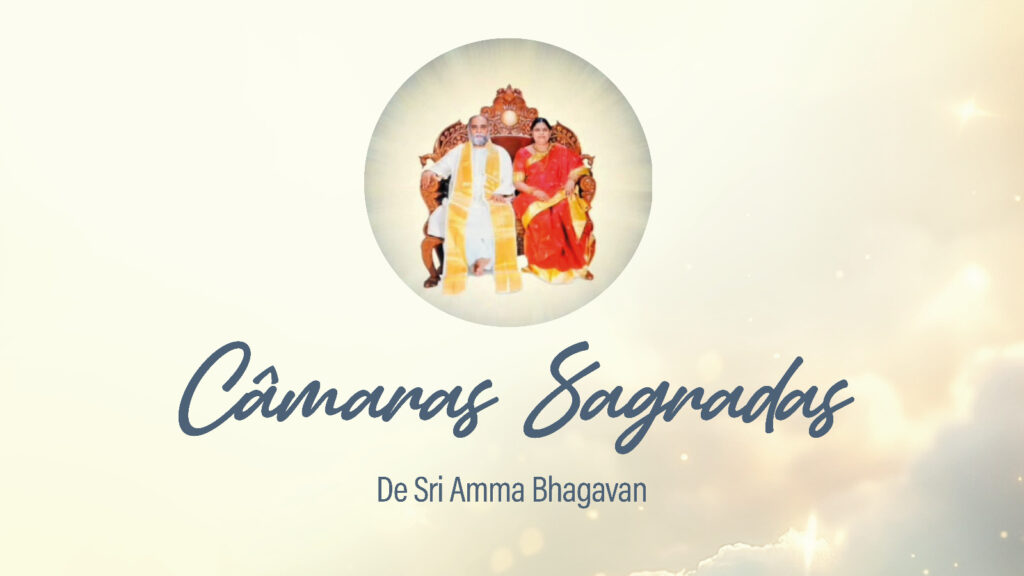 Câmaras Sagradas Sri Amma Bhagavan - cura profunda e conexão divina online e presencial